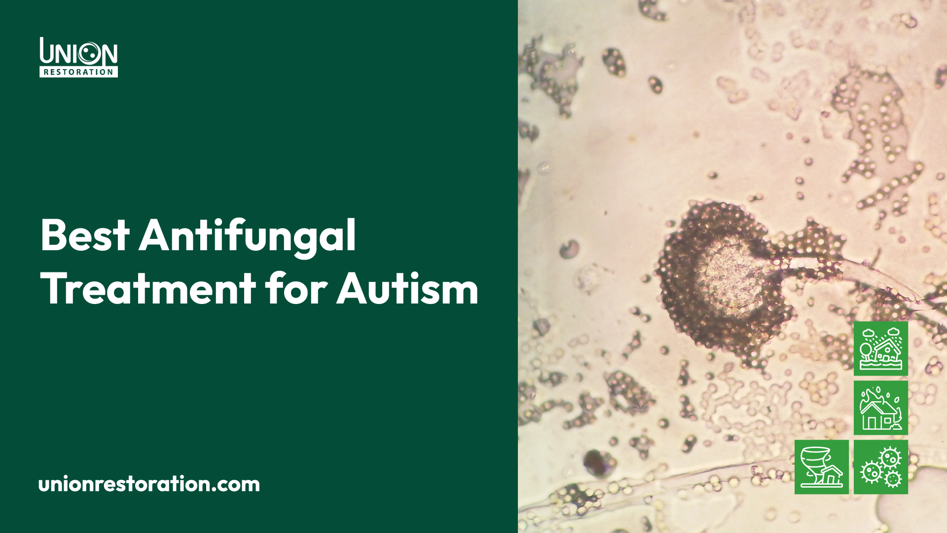 Best Antifungal Treatment for Autism